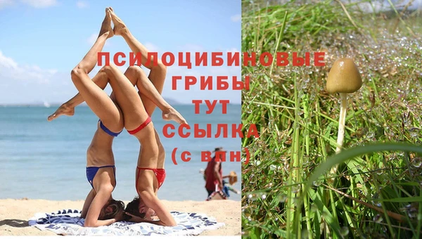 героин Алзамай